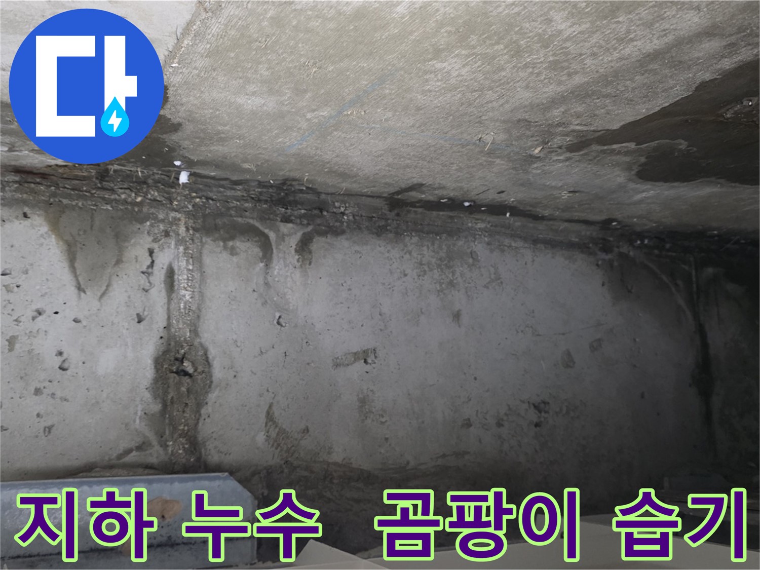 남양주 건물 지하 누수 - 곰팡이와 습기
