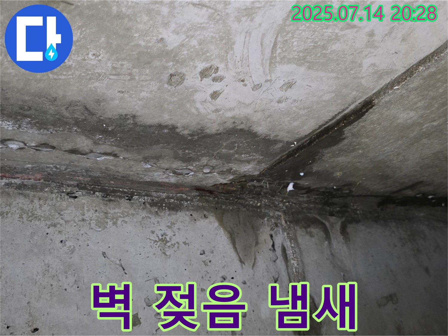 남양주 오남 두산아파트 - 벽면 젖음, 곰팡이 냄새 - 누수 의심