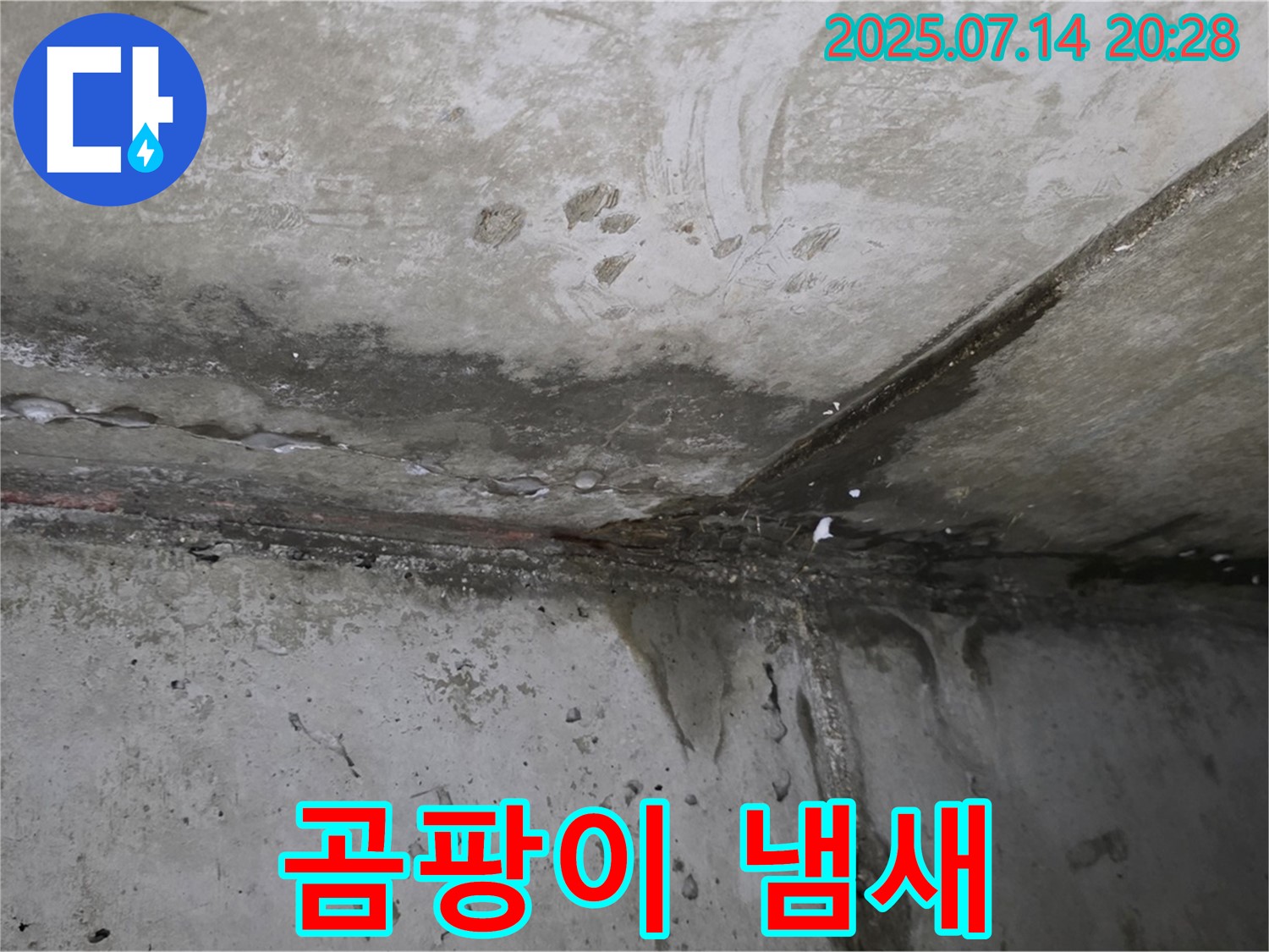 남양주 오남 두산아파트 - 젖은 천장, 심한 곰팡이 냄새 - 누수 심각