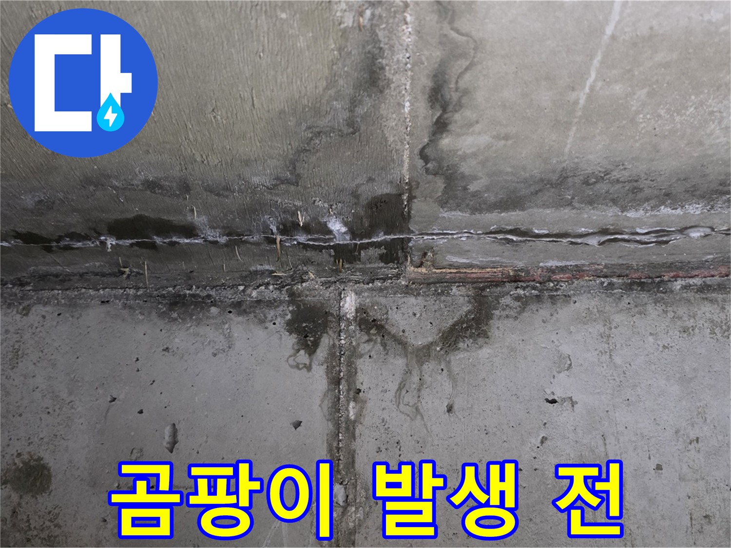 남양주 오남 두산아파트 천장 누수 - 곰팡이 발생 전 해결