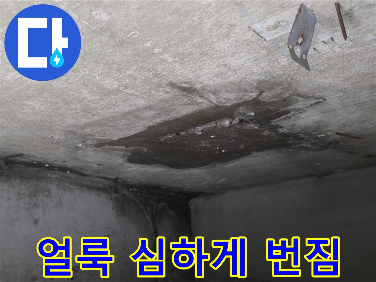 콘크리트 얼룩 심하게 번짐 - 남양주 오남 누수