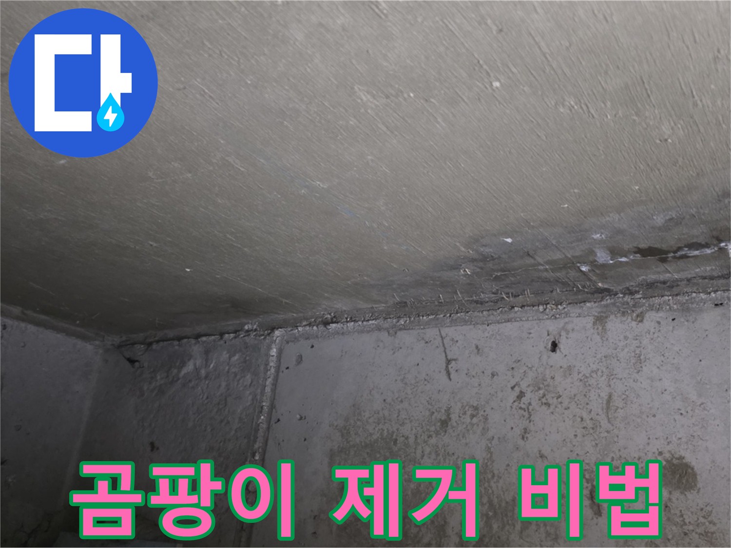 오남 두산아파트 천장 누수 곰팡이 제거 비법 공개