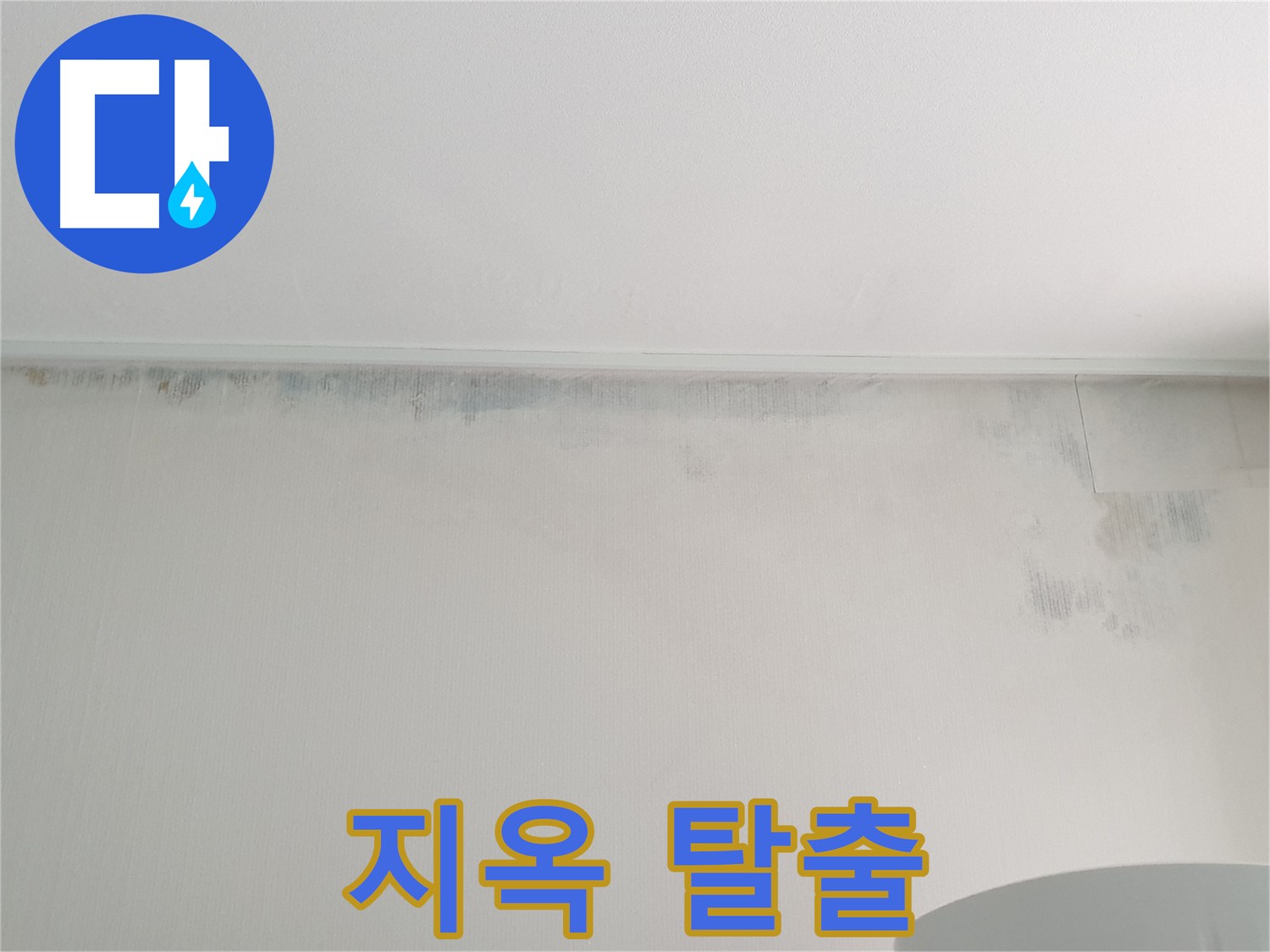 노원구 중계동 곰팡이 - 곰팡이 지옥 탈출