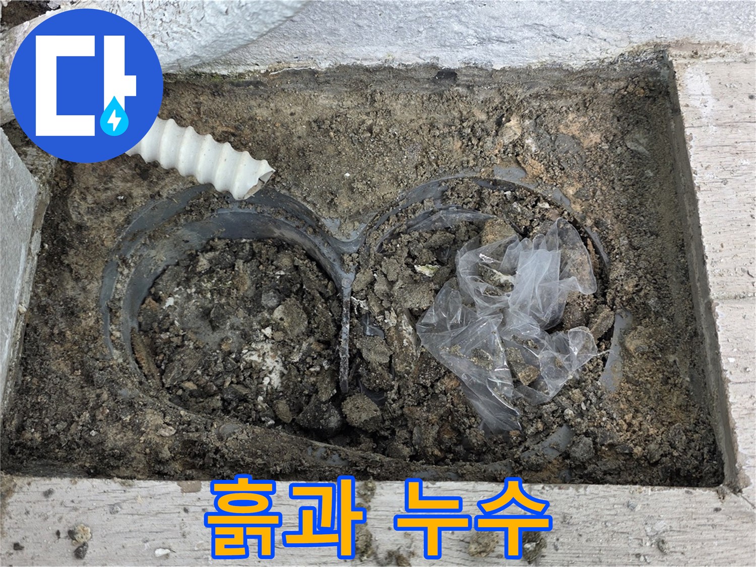 노원구 중계동 청구3차 아파트 누수 - 베란다 배수구 주변 흙이 누수의 시작일까?