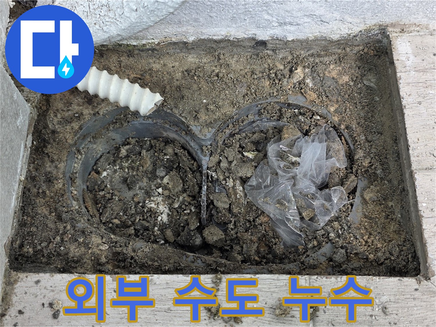 노원구 중계동 청구3차 아파트에서 외부 수도 누수를 탐지하고 있습니다 - 정확한 탐지로 누수 문제 해결!