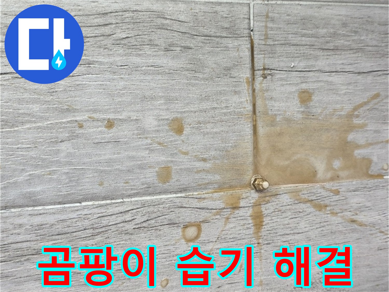 마루 곰팡이 - 습기 제거와 친환경 인젝션 방수로 쾌적하게 곰팡이 제거