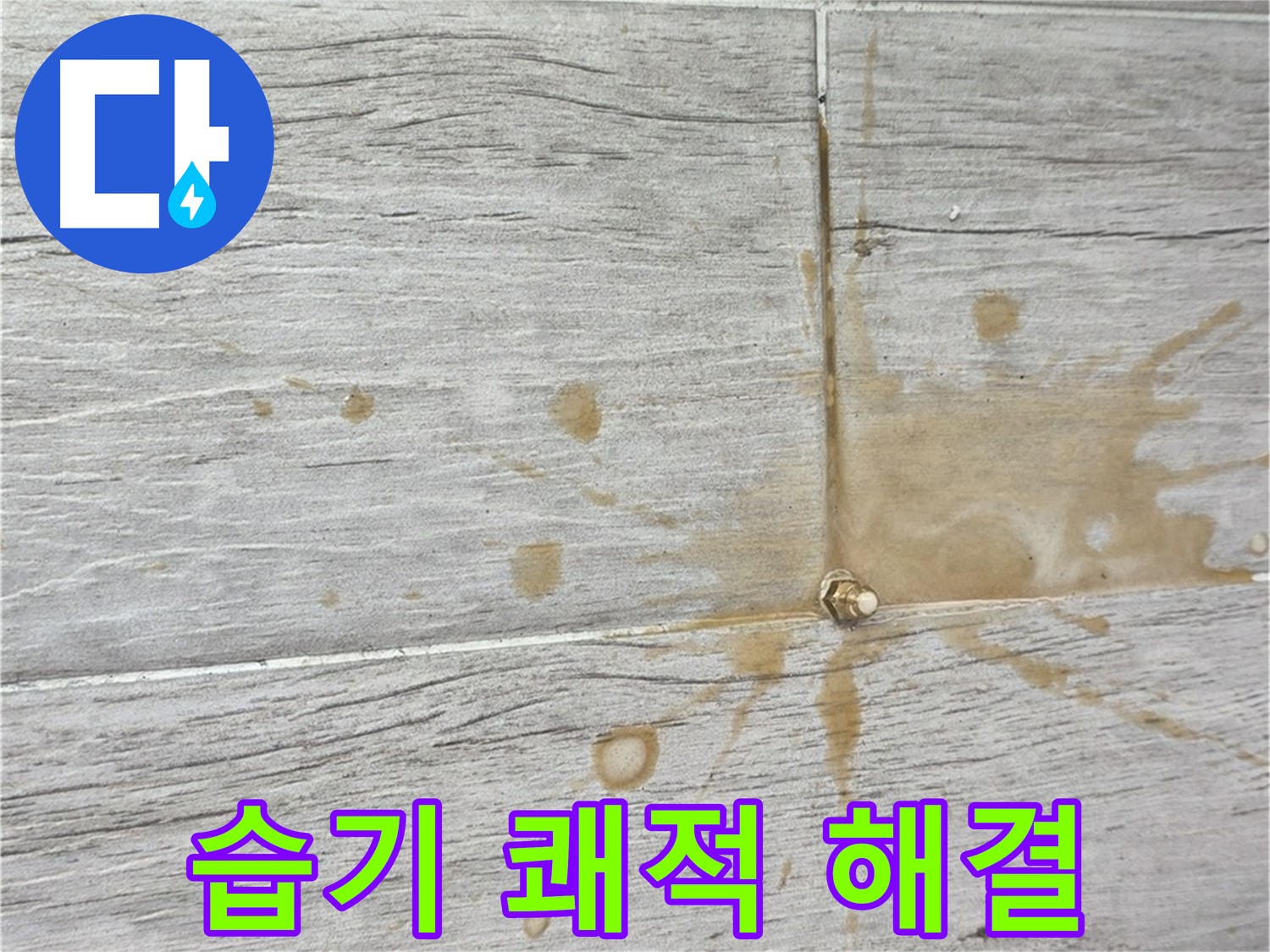 마루 아래 습기 - 곰팡이 걱정? 인젝션 방수로 쾌적하게 누수 해결