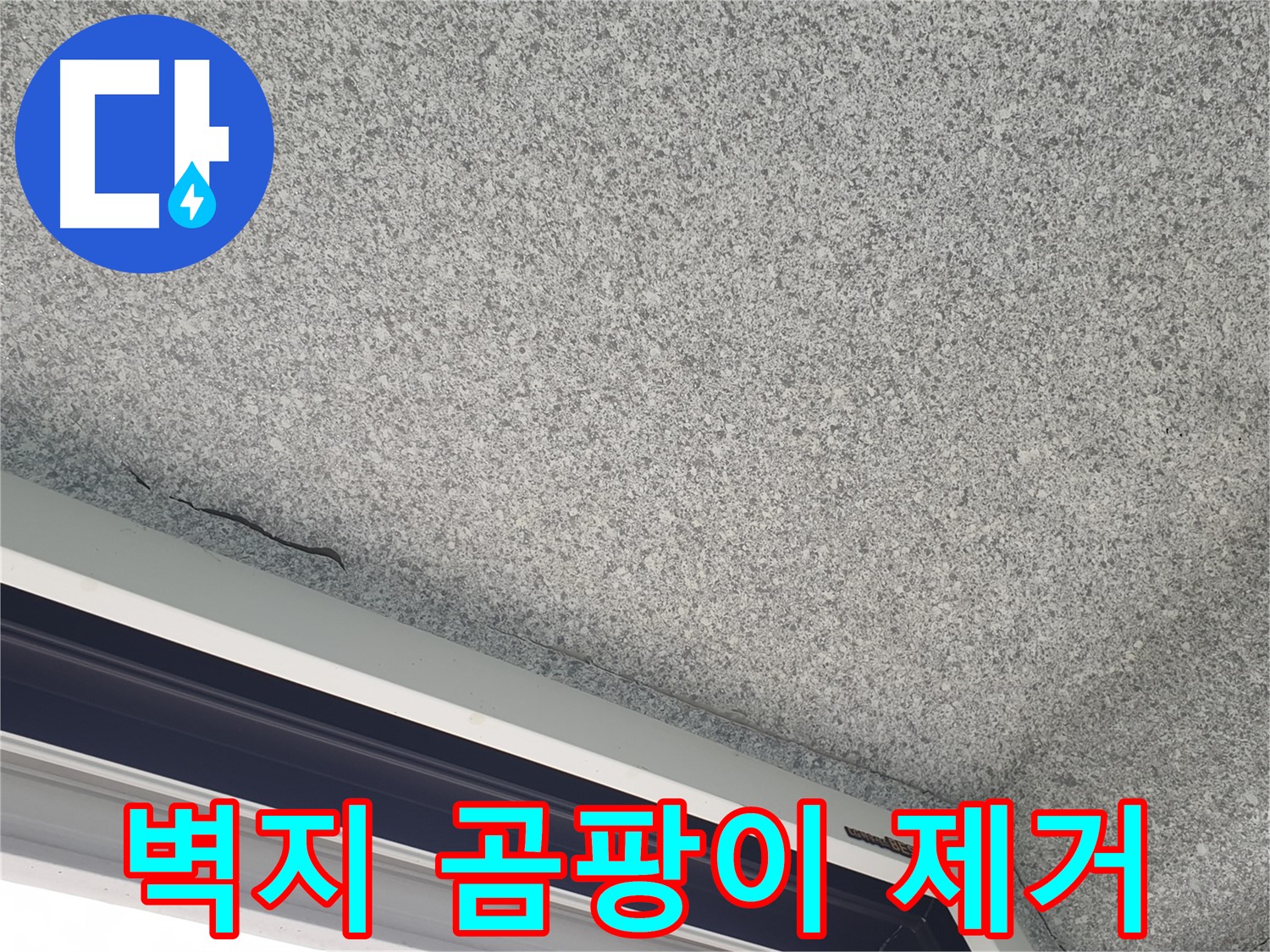 벽지 곰팡이 제거 및 방지 시공 - 쾌적한 환경