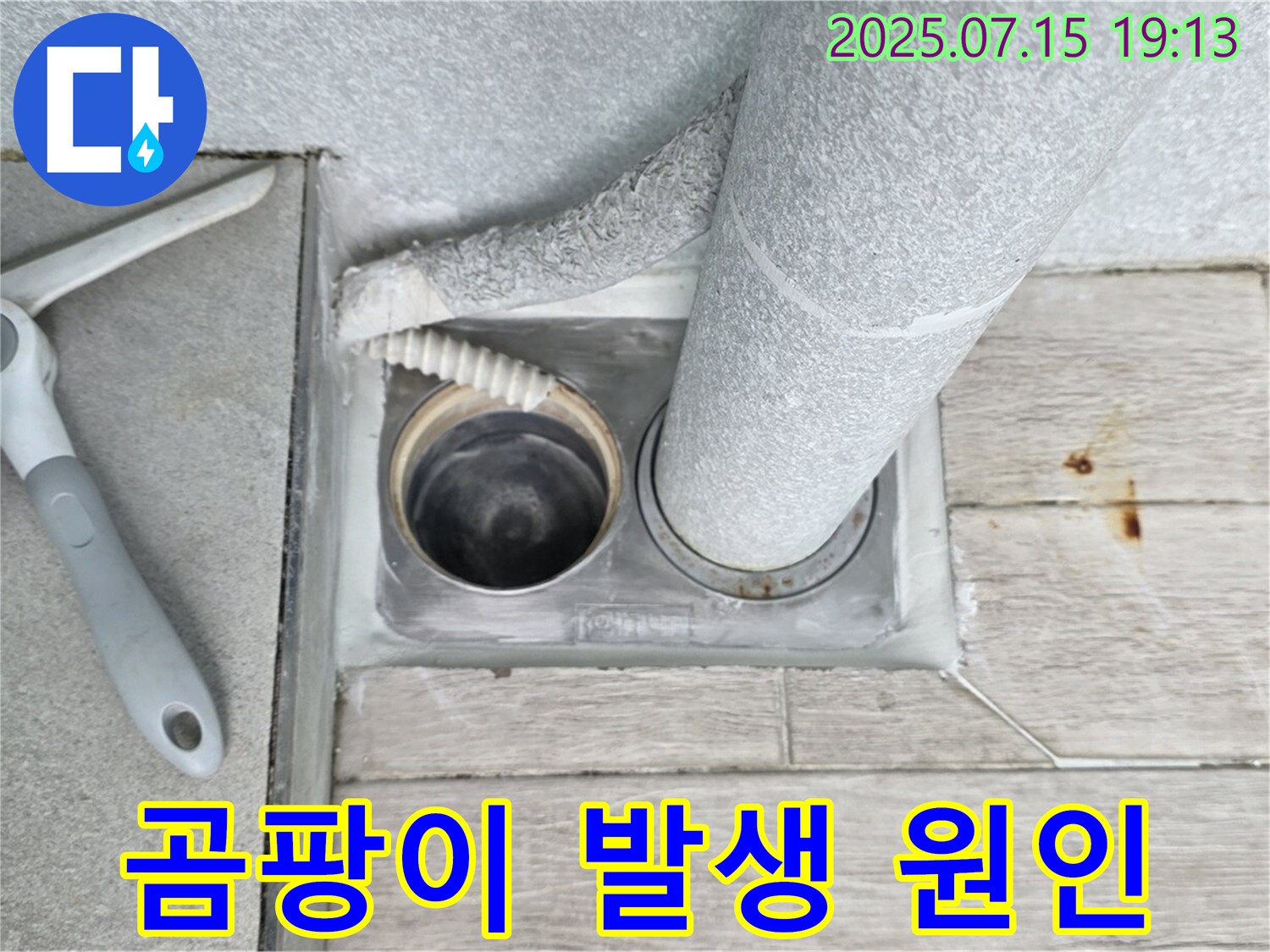 중계3동 청구3차 아파트 욕실 - 배수구 주변 곰팡이 발생 원인을 분석합니다.