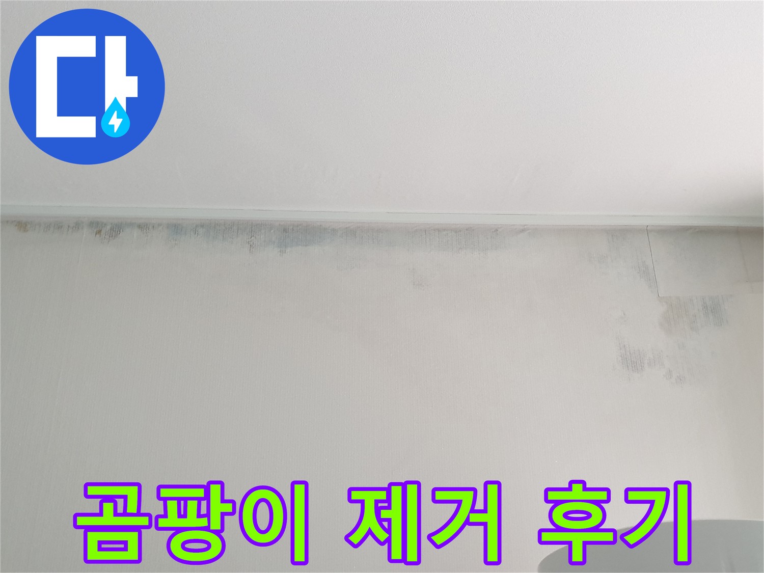 중계동 곰팡이 누수 - 청구3차 107동 곰팡이 제거 후기
