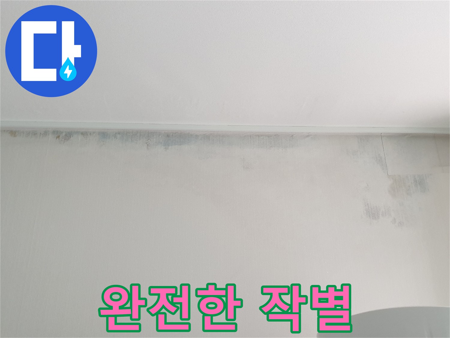 중계동 아파트 곰팡이 - 완전한 작별