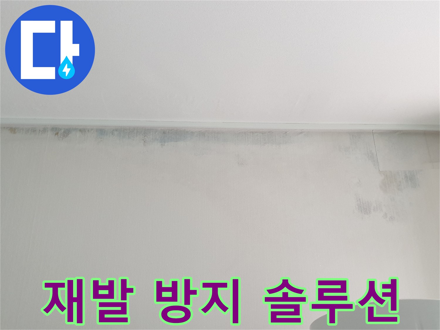 중계동 아파트 벽 곰팡이 - 완벽 제거 및 재발 방지 솔루션