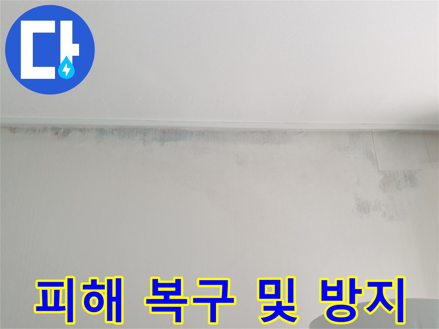 중계동 아파트 벽 누수 - 곰팡이 피해 복구 및 재발 방지