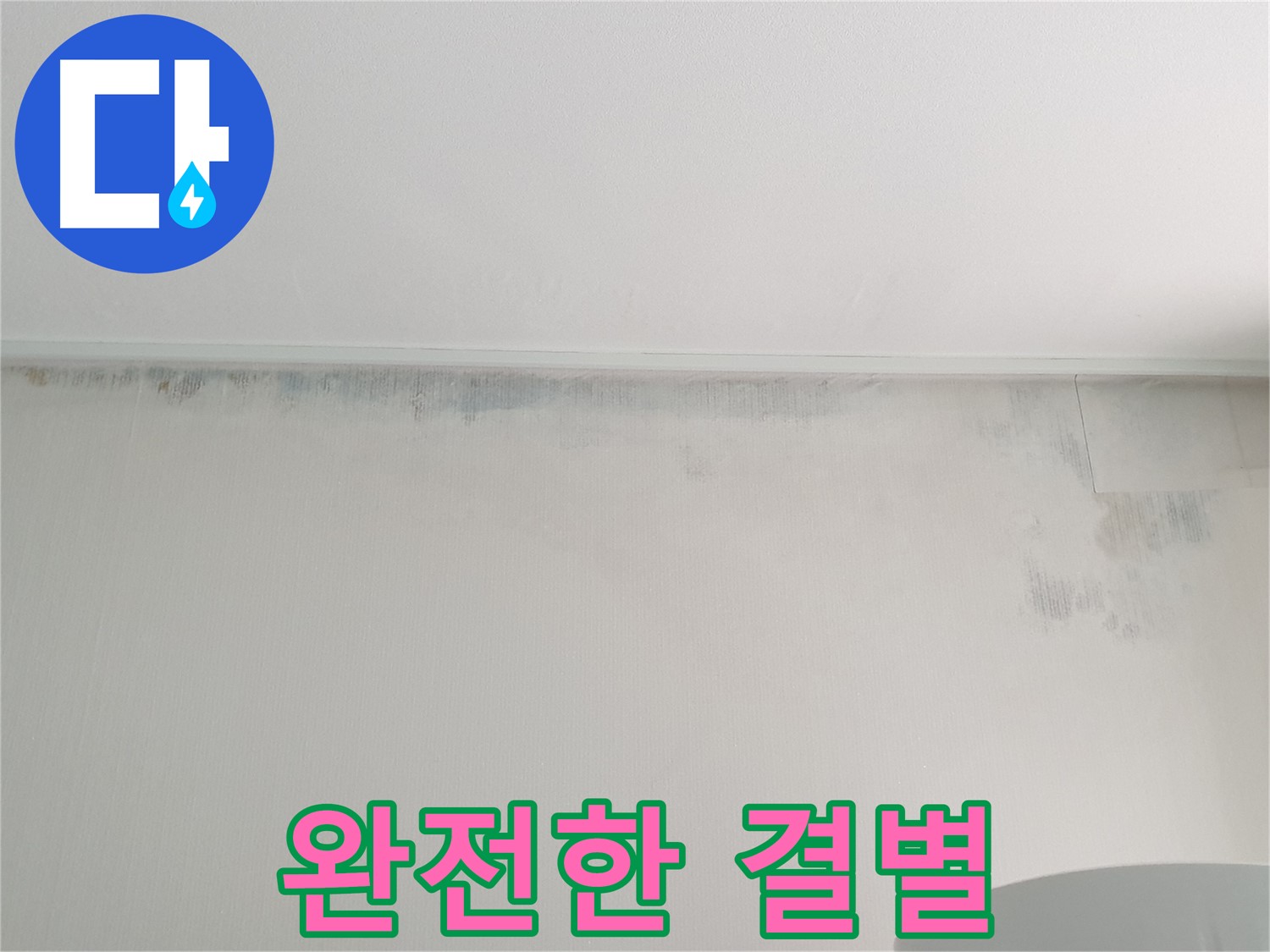 중계동 청구3차 곰팡이 - 곰팡이와의 완전한 결별