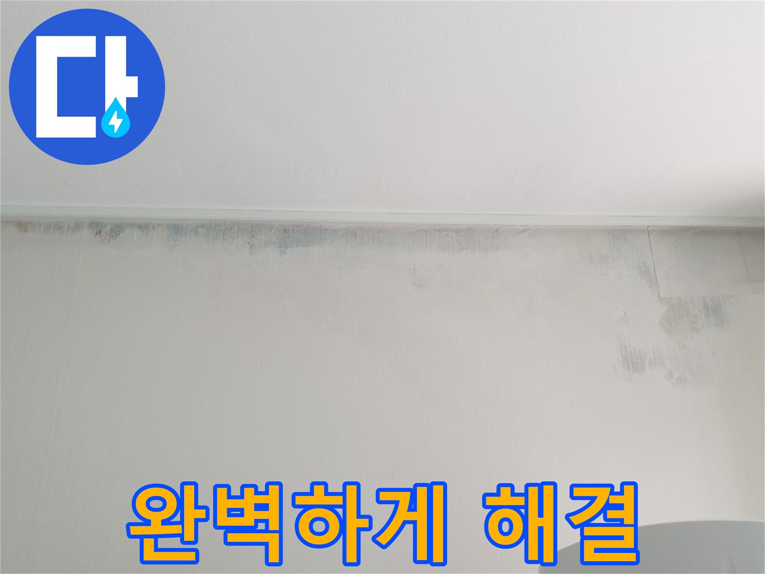 중계동 청구3차 곰팡이 누수 - 곰팡이 누수 문제 완벽 해결