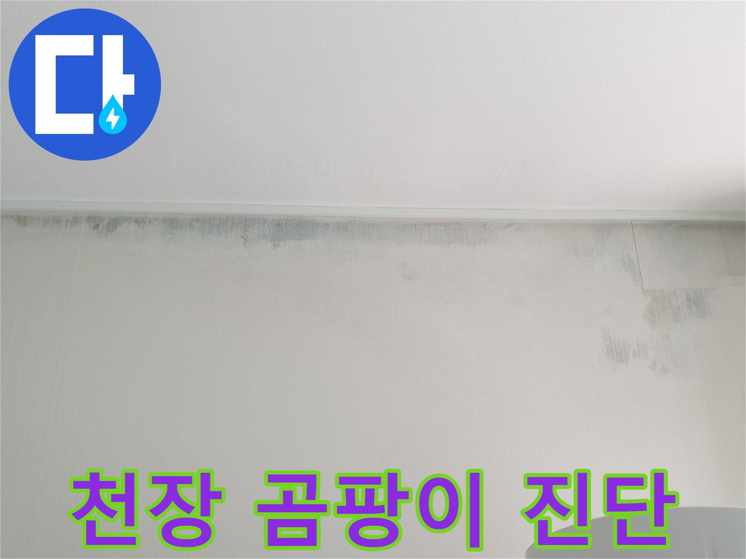 중계동 청구3차 아파트 천장 누수 - 곰팡이 긴급 진단