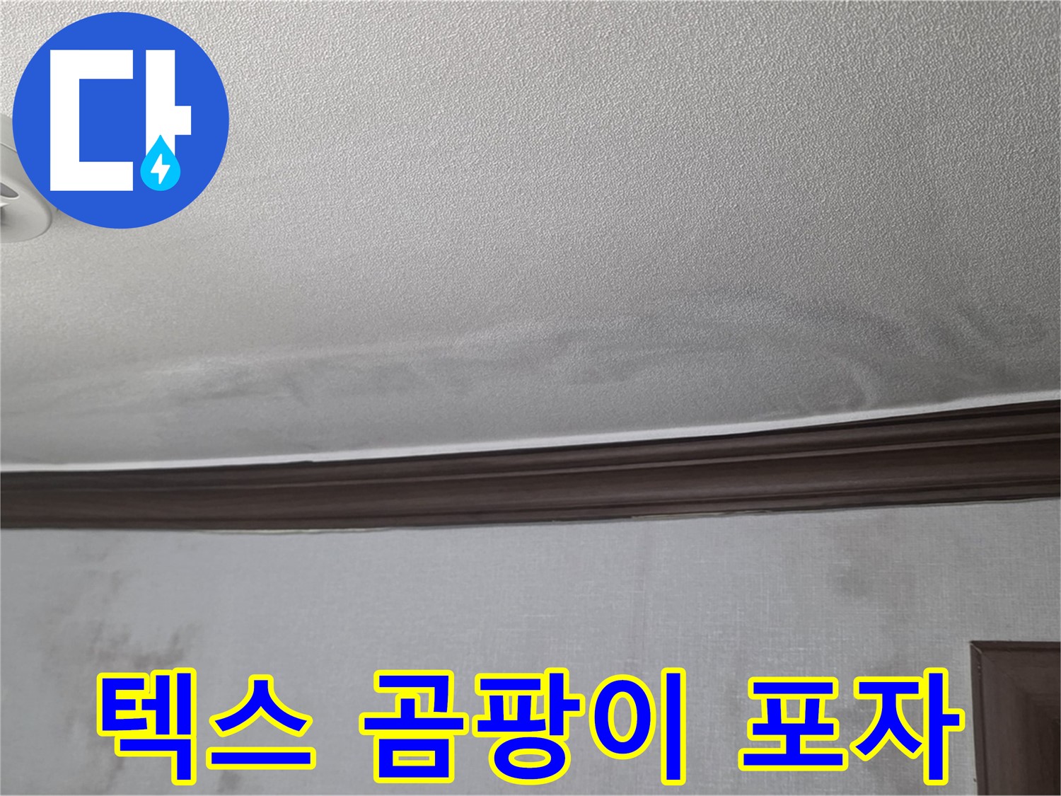 강북구 미아동 빌라 천장 누수 - 텍스 곰팡이 포자는 건강에 매우 해로움