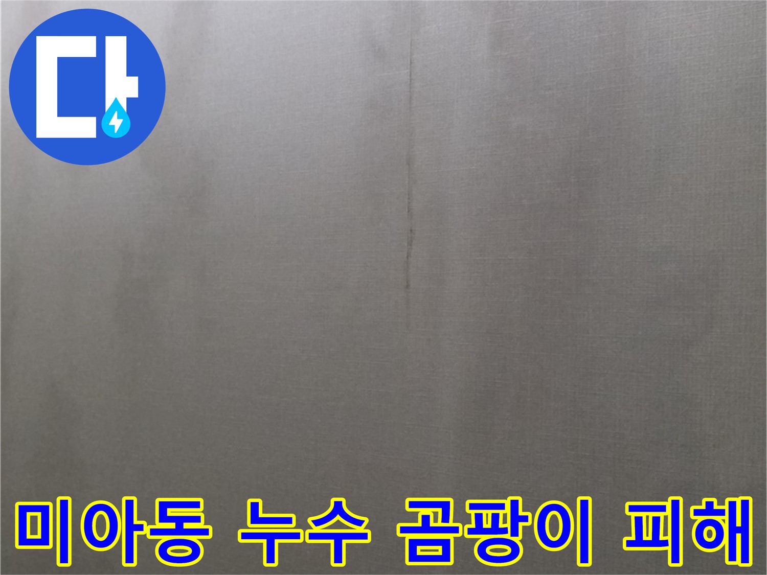 강북구 미아동 천장 누수로 인한 곰팡이 - 곰팡이 제거 및 누수 원인 해결의 중요성을 보여주는 이미지