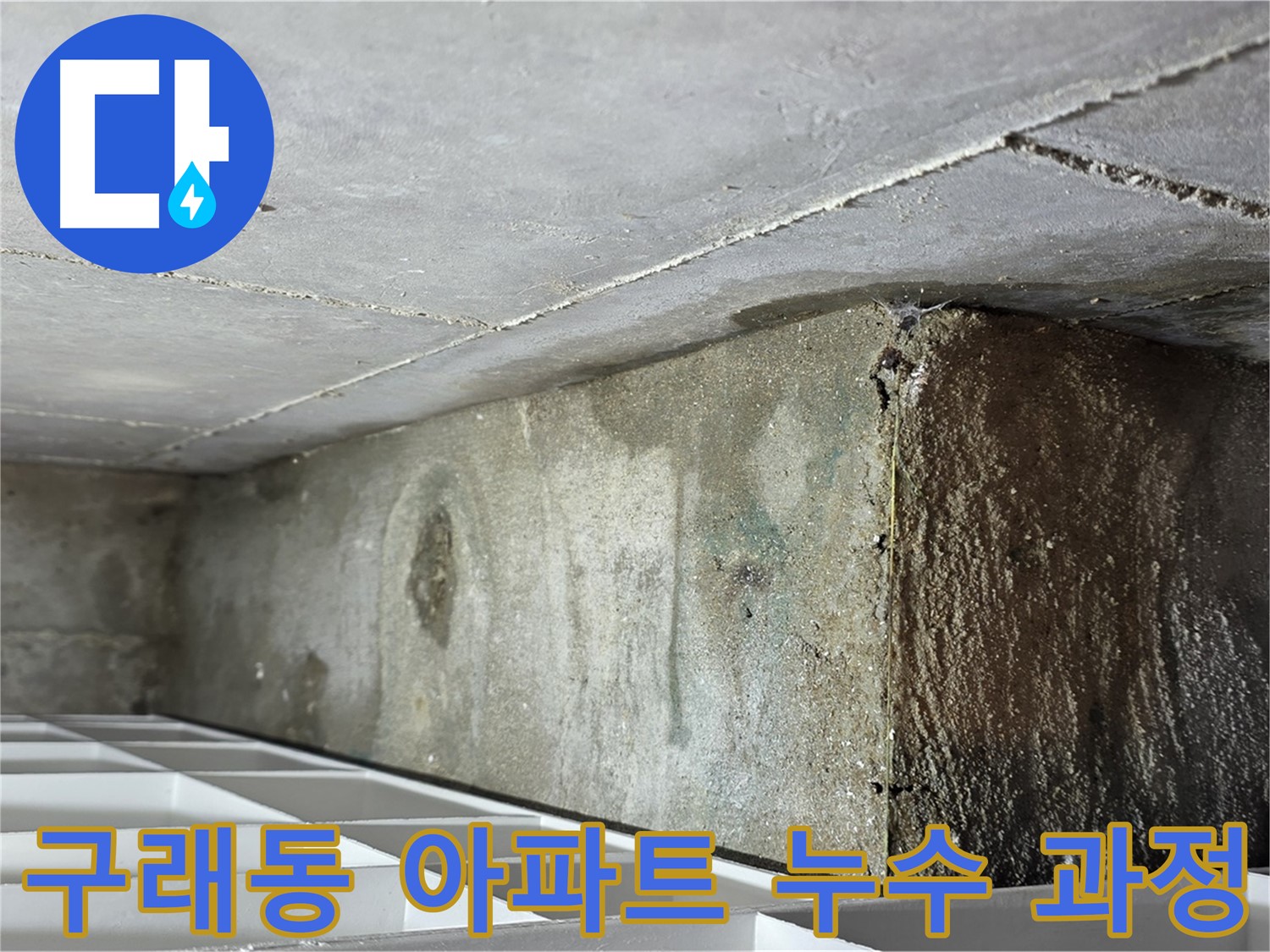 구래동 아파트 화장실 천장 누수 - 누수 지점 확인