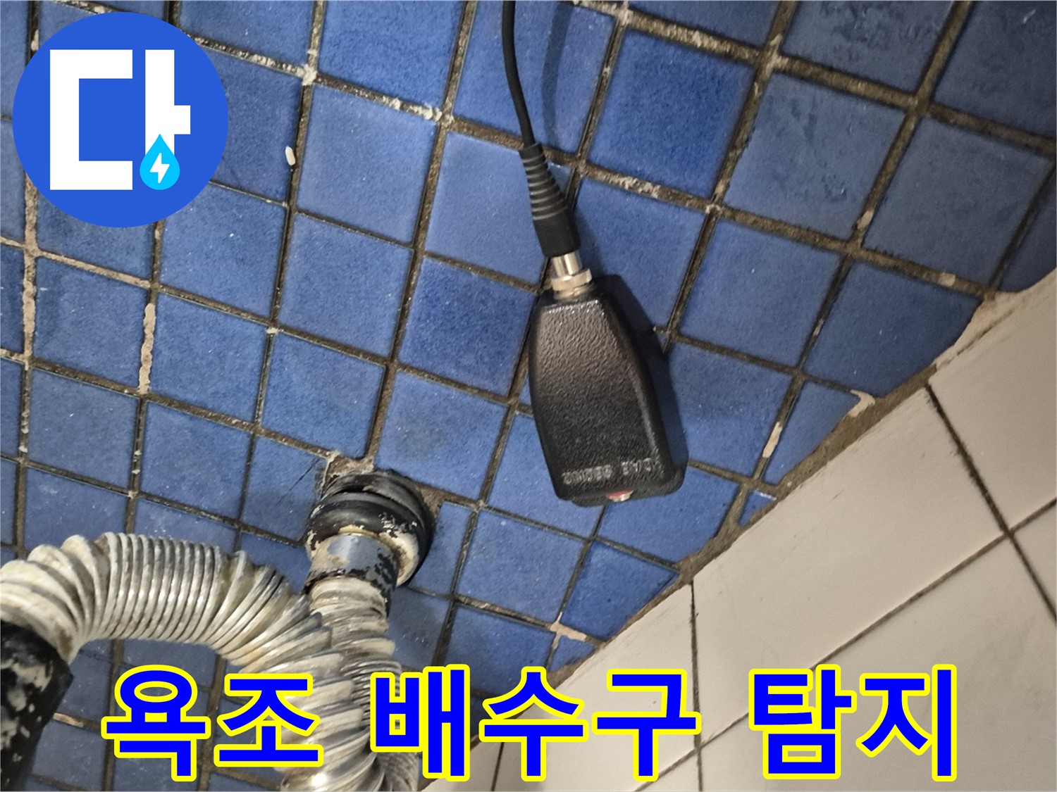 마포구 합정동 현대빌라 누수 - 욕조 배수구 주변 정밀 탐지 작업 진행 중