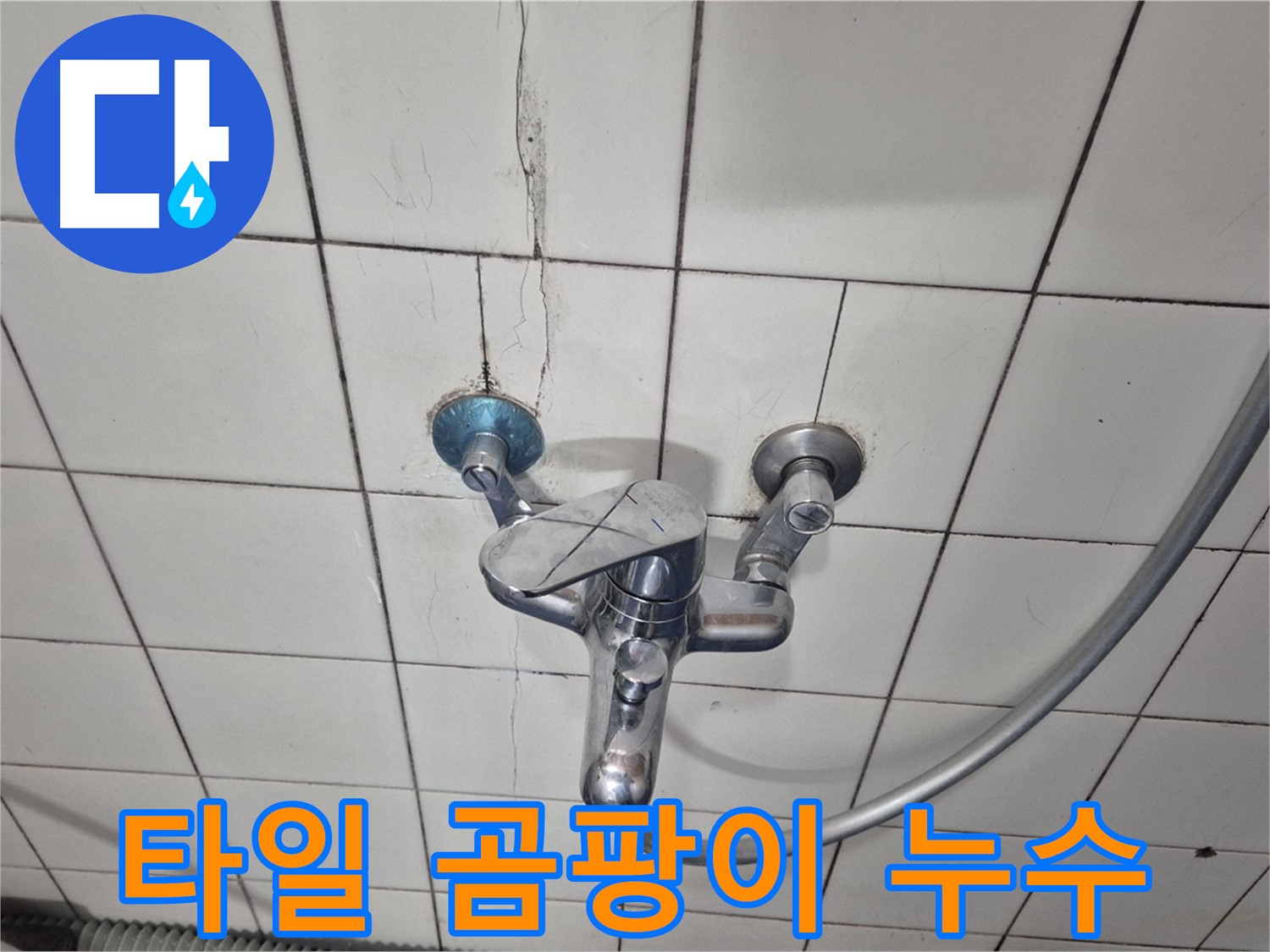 샤워기 수전 주변 타일 곰팡이 - 습기로 인한 곰팡이 번식 및 누수 의심
