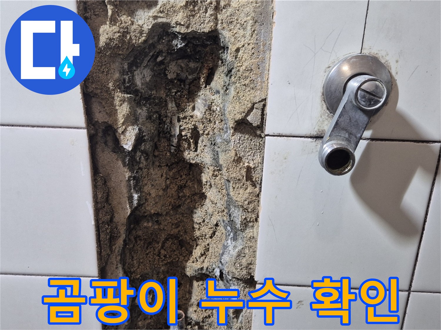 샤워기 주변 곰팡이 - 누수 가능성