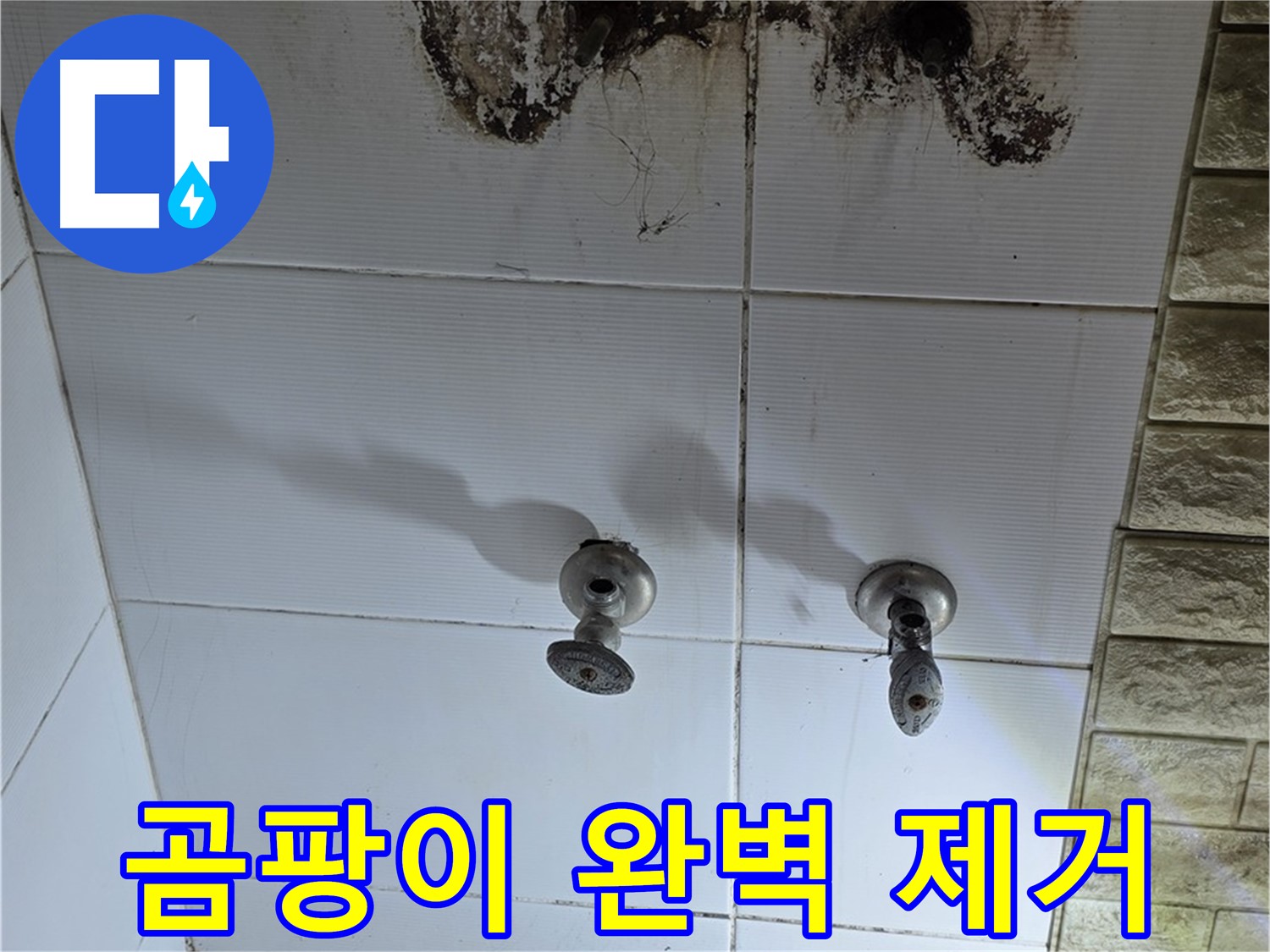 노원구 상계동 곰팡이 핀 욕실 - 누수 원인을 찾고 곰팡이까지 완벽하게 제거해 드립니다.