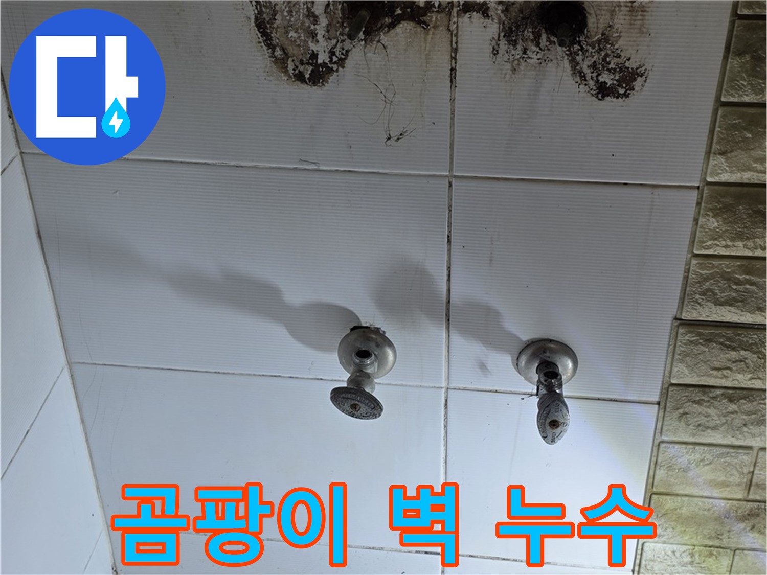 노원구 상계동 곰팡이 핀 욕실 벽 - 정확한 누수 진단과 완벽한 해결로 쾌적한 욕실 환경을 만들어 드립니다.