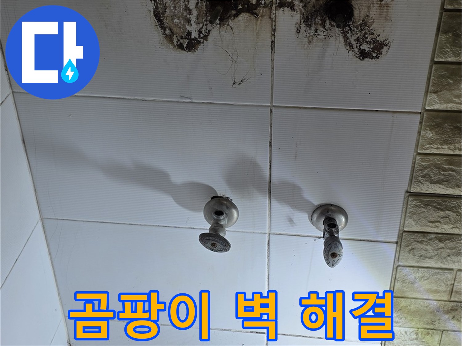 노원구 상계동 곰팡이 핀 욕실 벽 - 정확한 누수 진단과 완벽한 해결로 쾌적한 욕실 환경을 만들어 드립니다.