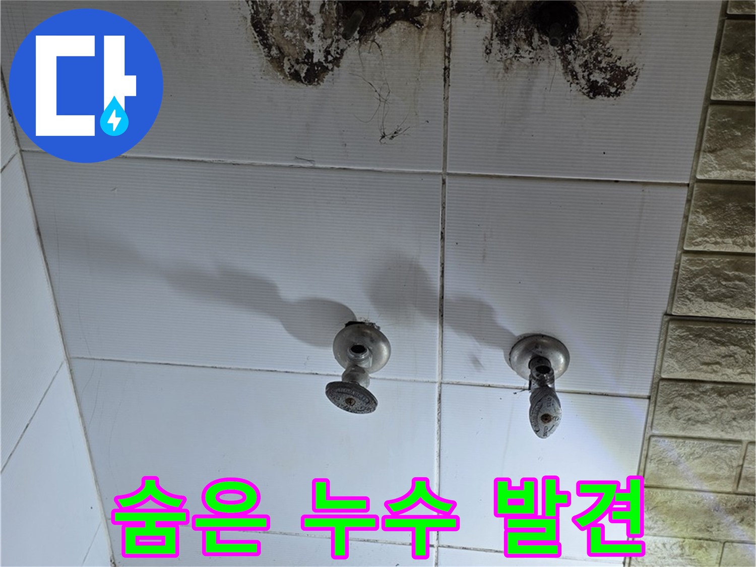 노원구 상계동 욕실 곰팡이 - 숨겨진 누수를 끝까지 찾아 해결하는 전문 업체를 소개합니다.