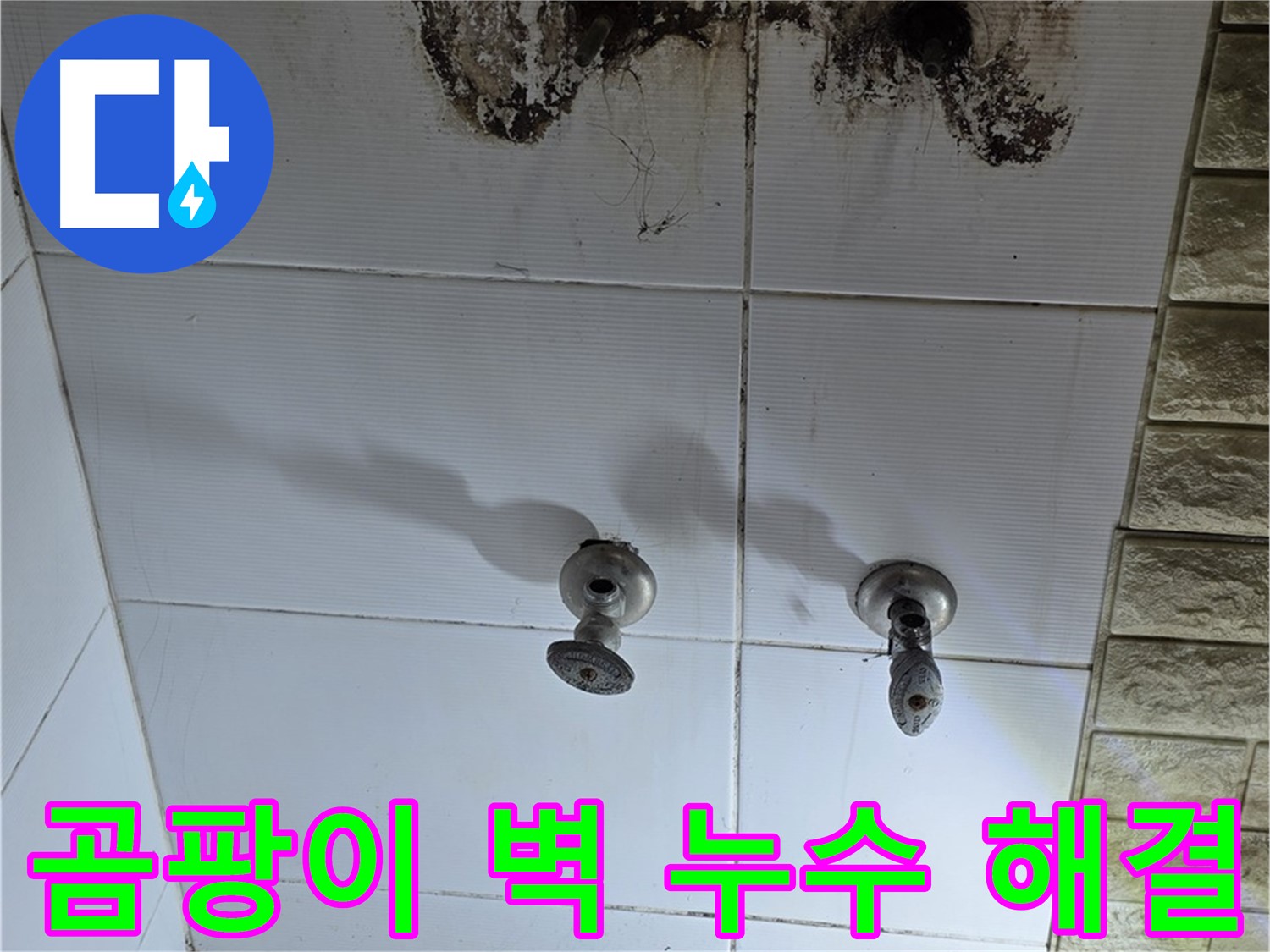 상계동 곰팡이 핀 욕실 벽 - 누수 원인을 정확히 파악하고 곰팡이까지 깨끗하게 제거해 드립니다.