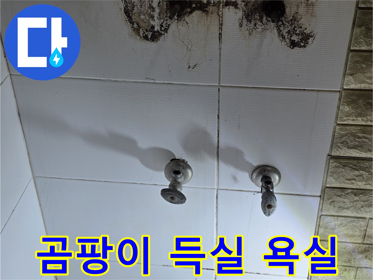상계동 빌라 곰팡이 득실거리는 욕실 - 누수 해결하고 쾌적한 공간으로 변신시켜 드립니다.