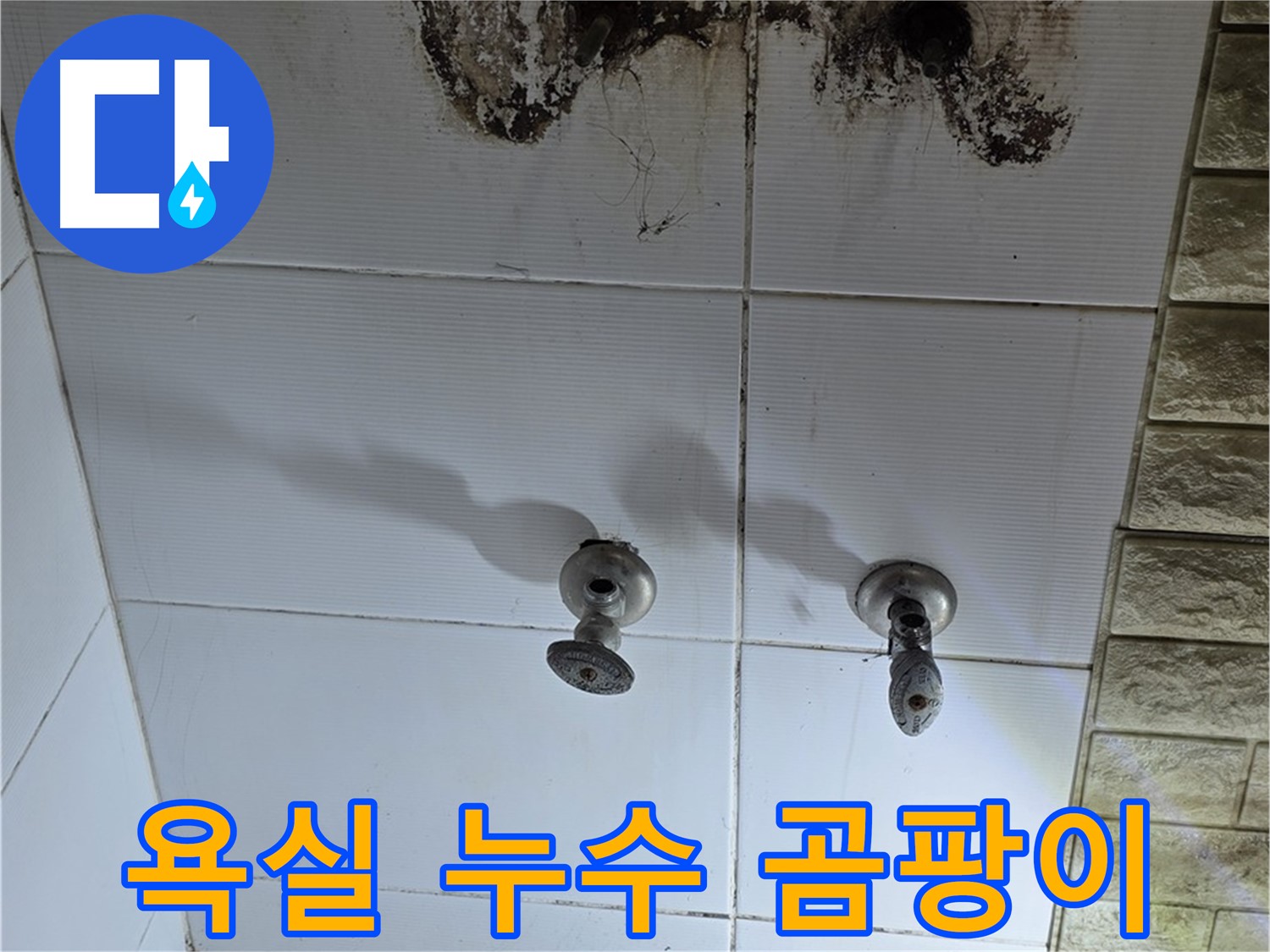 상계동 욕실 누수로 인한 곰팡이 발생 - 누수탐지 전문 업체에서 정확한 진단과 해결책을 제시합니다.