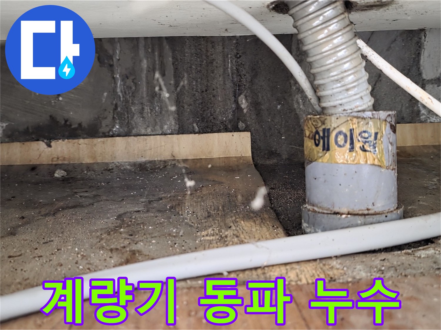 남양주 진건읍 사릉리 수도 계량기 동파 누수 흔적 발견 - 누수탐지 전문 업체에서 확실한 원인 진단과 해결을 약속드립니다.