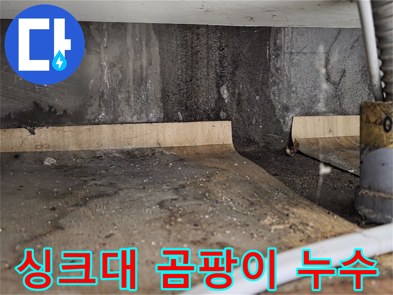 싱크대 누수 - 곰팡이 발생 시작