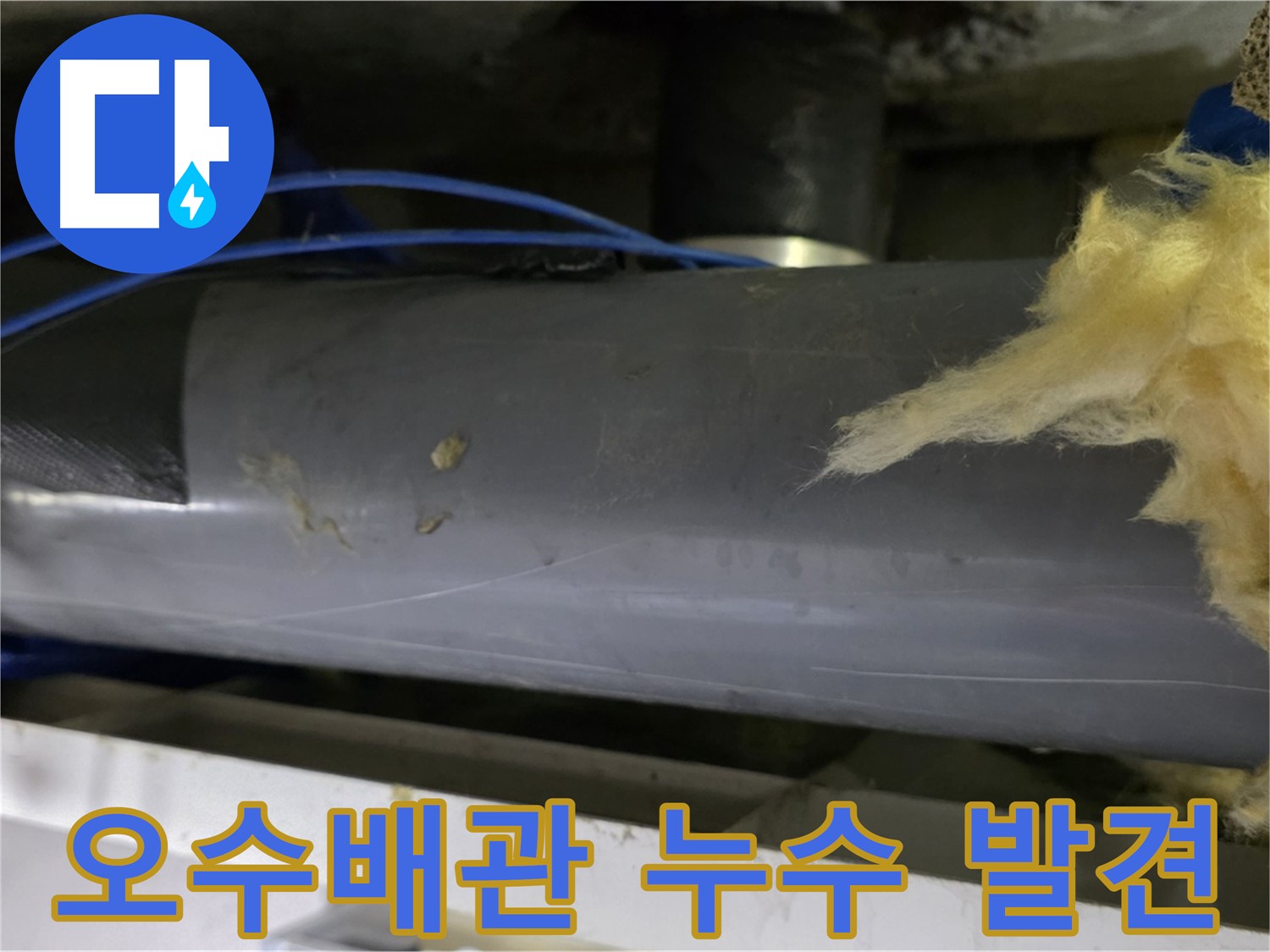 노원구 아파트 오수 배관 누수 지점 발견 - 누수 전문가가 전문 장비로 미세한 누수 해결