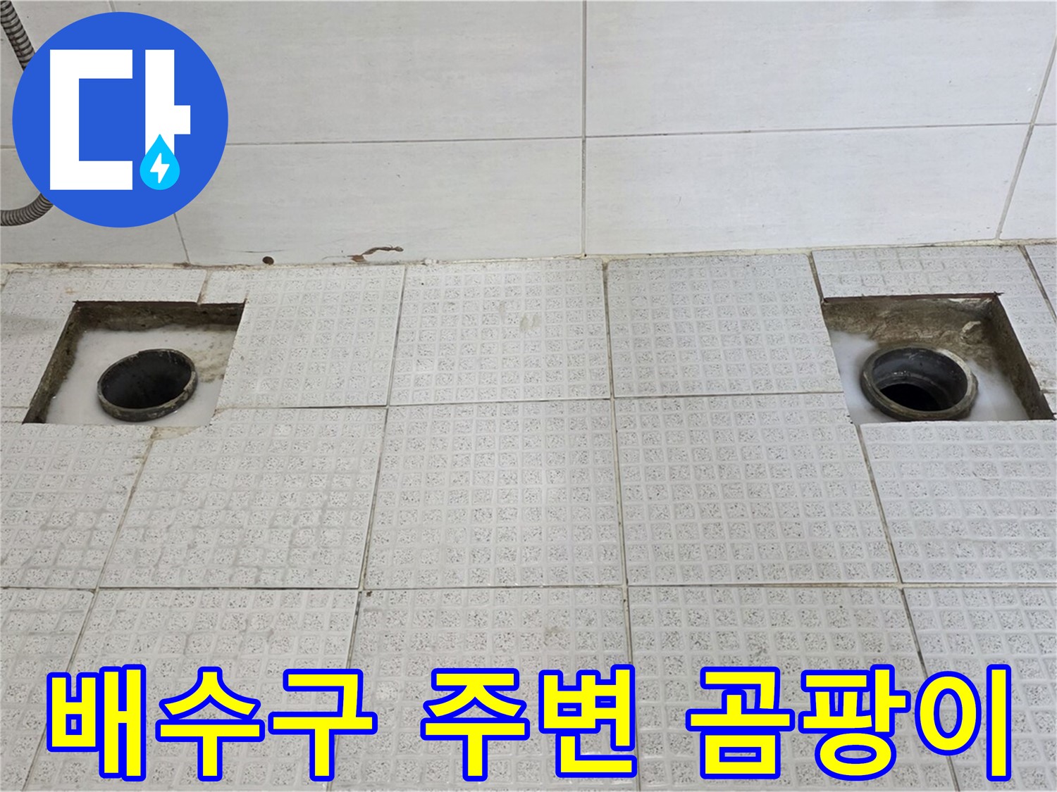 과천 세인트빌 욕실 - 배수구 주변 곰팡이 발견 - 누수가 오래된 것 같아요.