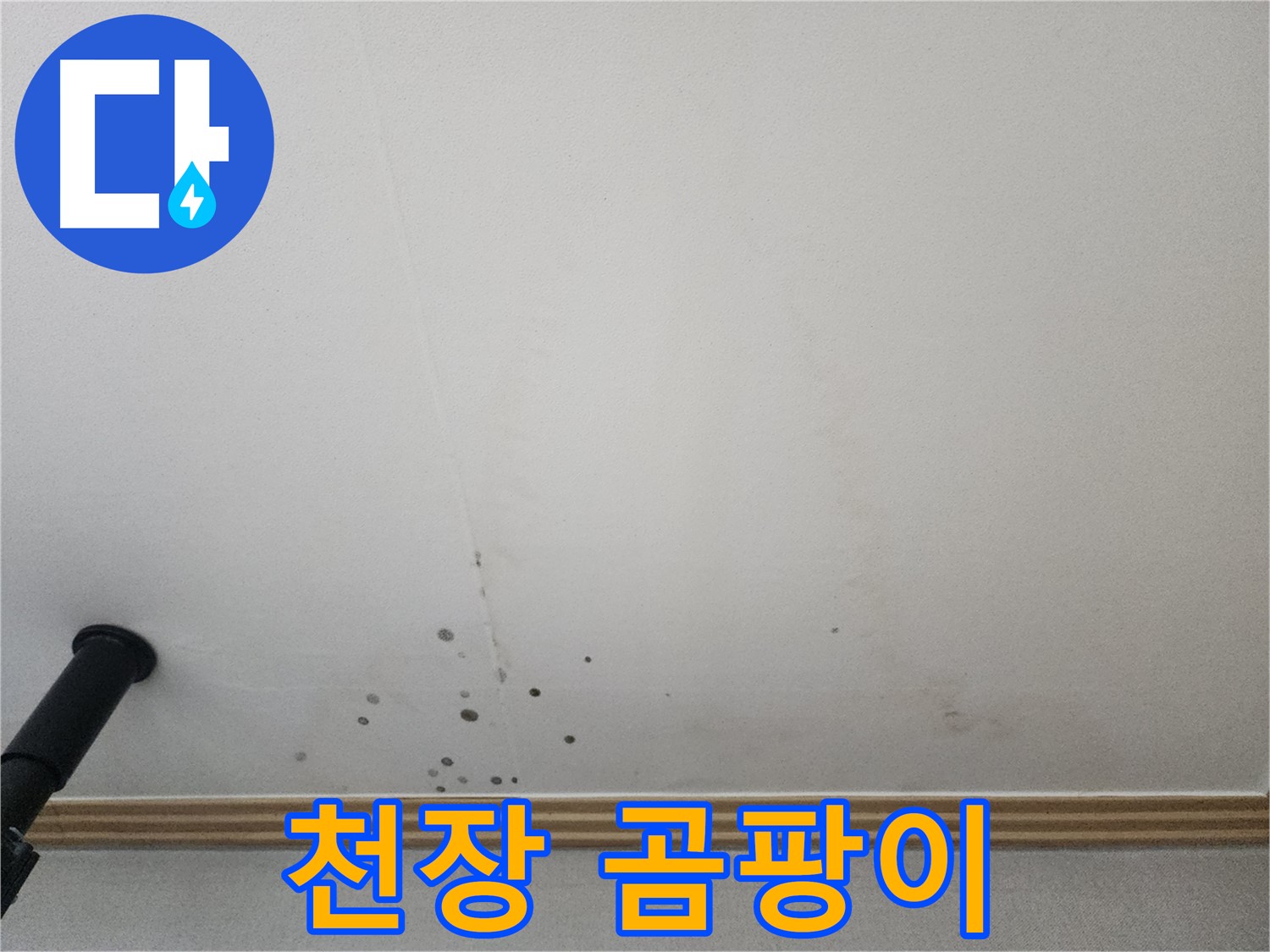 천장 곰팡이 - 누수 초기 증상일 수 있으니 꼼꼼한 점검이 필요합니다.