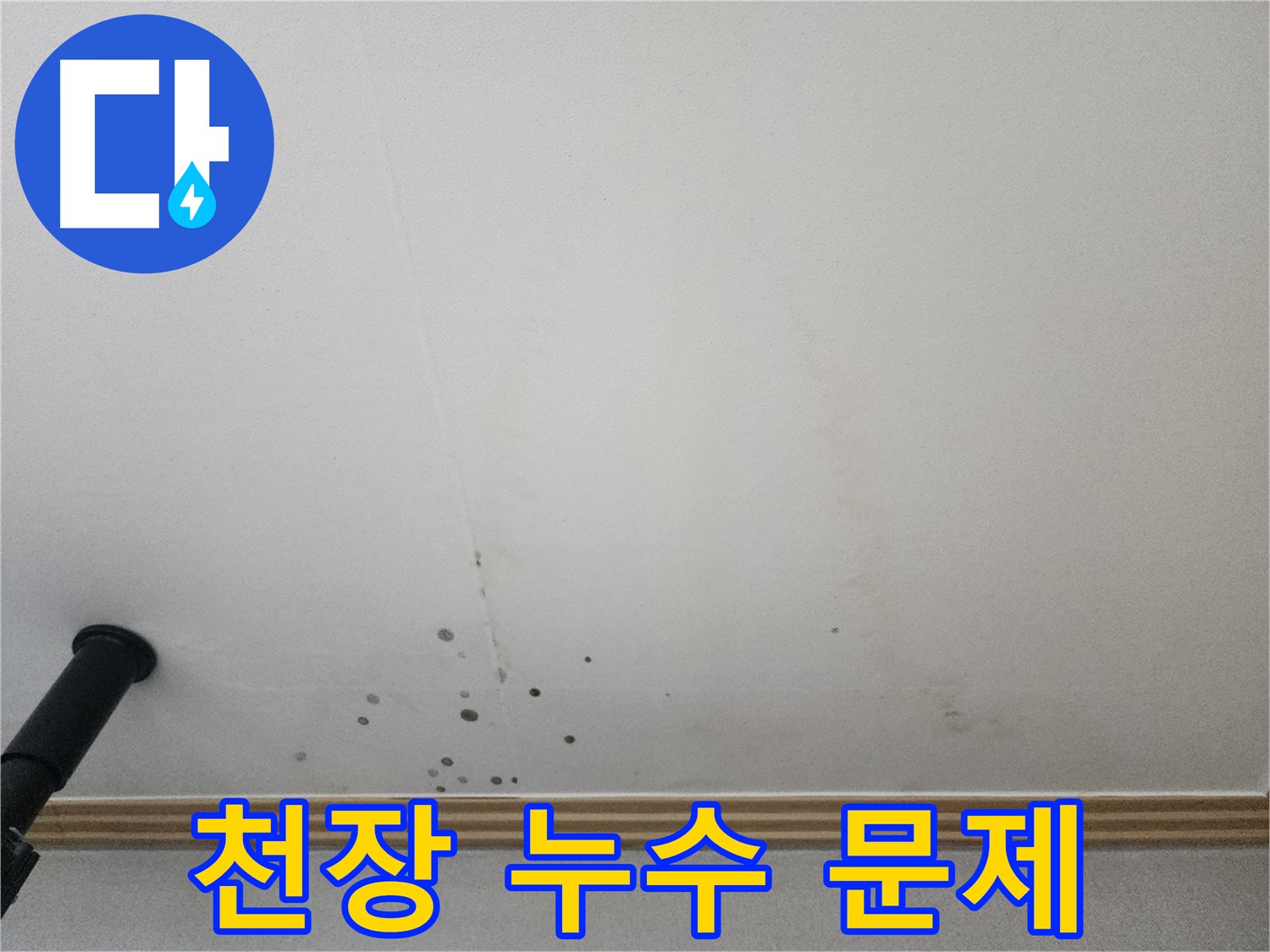 천장 누수 문제 - 누수 문제 해결은 전문가에게 맡기세요.