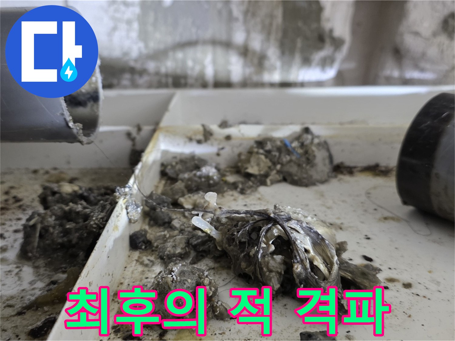 노원구 중계동 라이프청구신동아아파트 - 배관 속 '최후의 적' 완전 격파, 누수와의 전쟁 승리