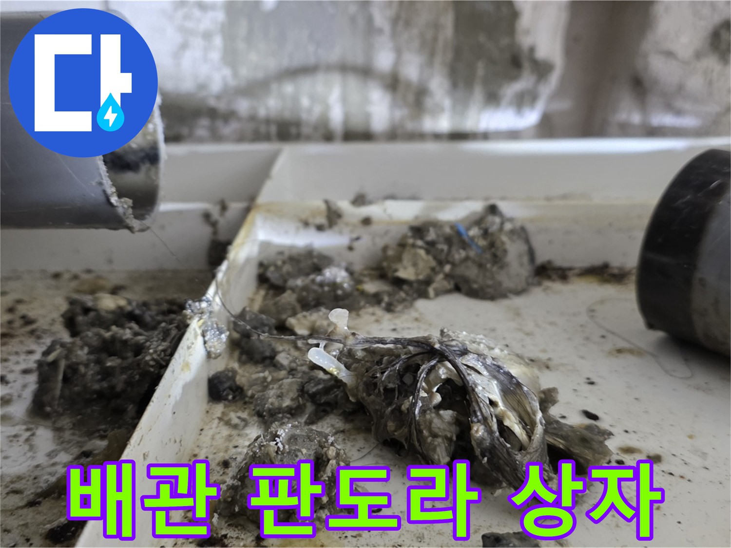 노원구 중계동 라이프청구신동아아파트 - 배관 속 '판도라의 상자' 개봉, 누수 원인 공개