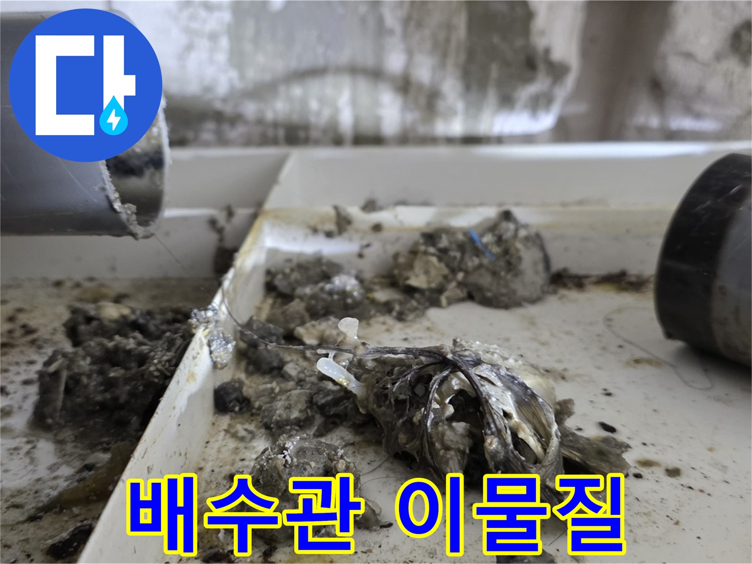 노원구 중계동 라이프청구신동아아파트 - 배수관 속 이물질 제거 현장