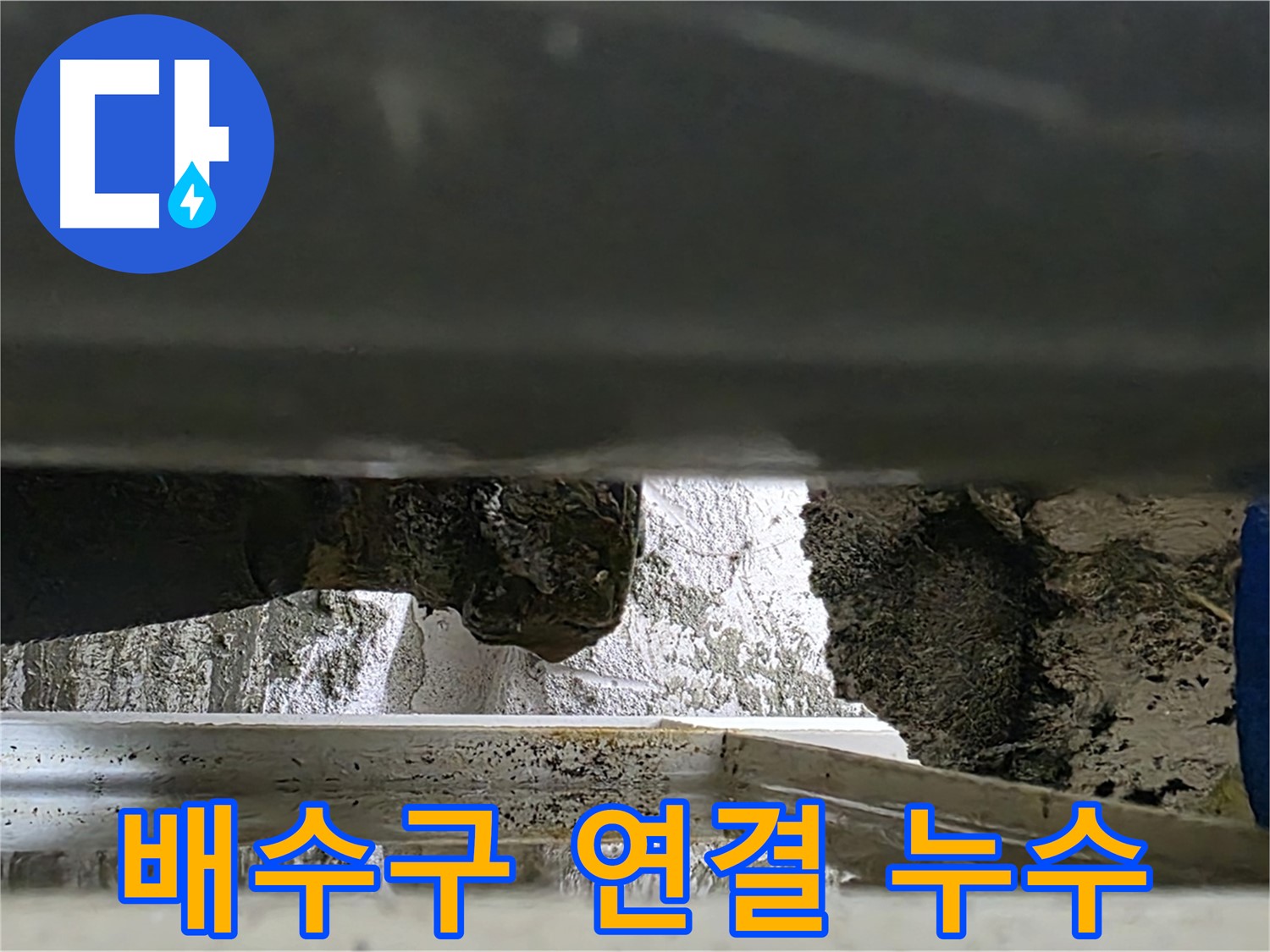 중계2동 라이프청구신동아 아파트 누수 - 싱크대 배수구 연결 부위에서 누수가 발생했습니다 - 꼼꼼한 점검이 필요합니다.