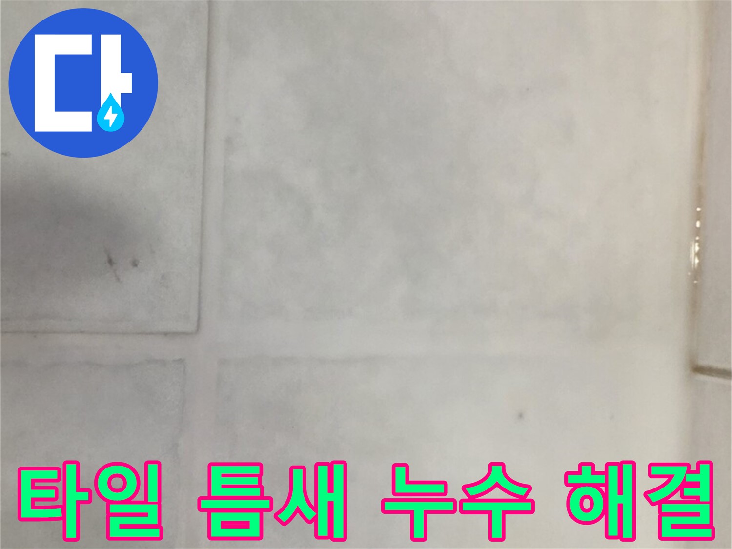 과천 누수 전문가 - 타일 틈새 누수 문제 완벽 해결