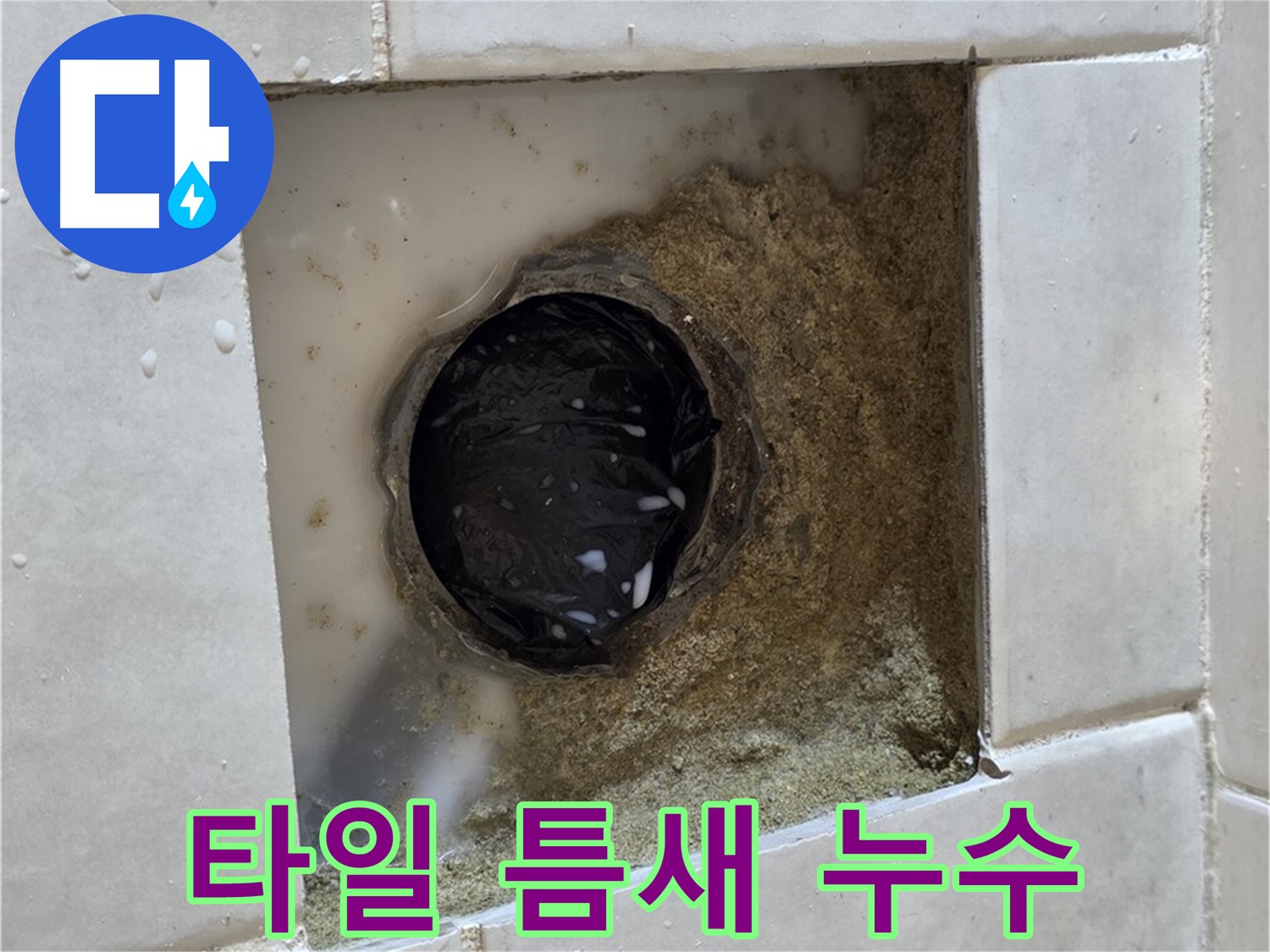 과천 문원동 욕실 바닥 타일 틈새 누수 - 젖은 타일과 곰팡이, 꼼꼼한 시공으로 해결