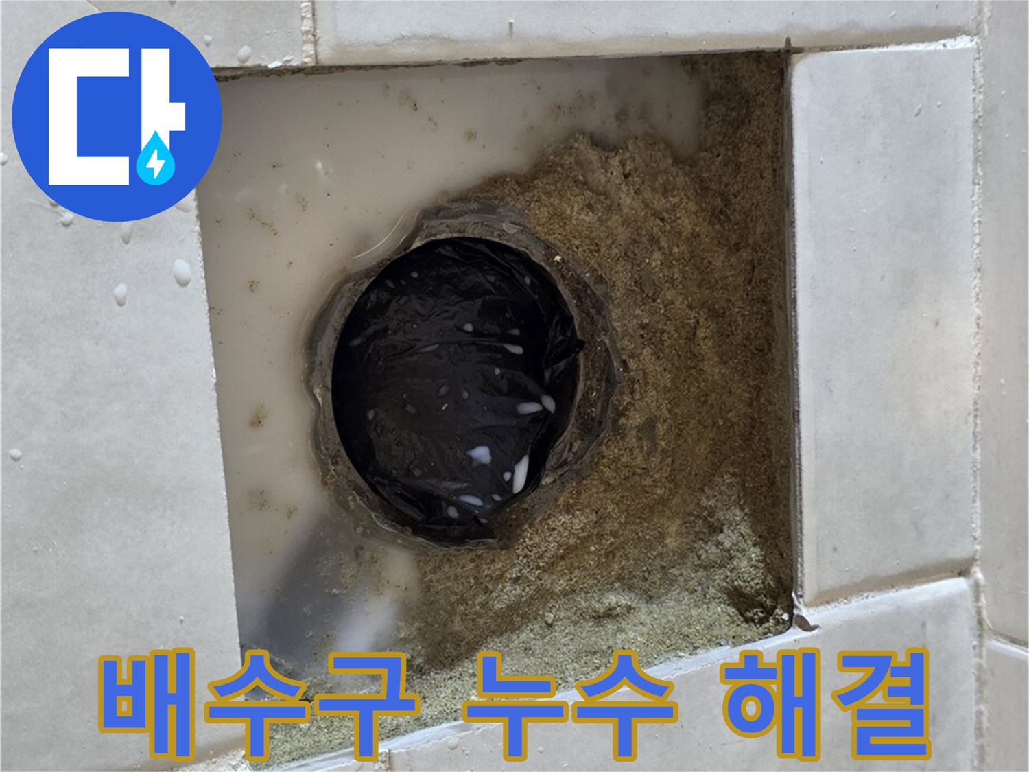 과천 문원동 욕실 배수구 누수 - 젖어있는 배수구 주변, 숙련된 기술로 완벽하게 해결