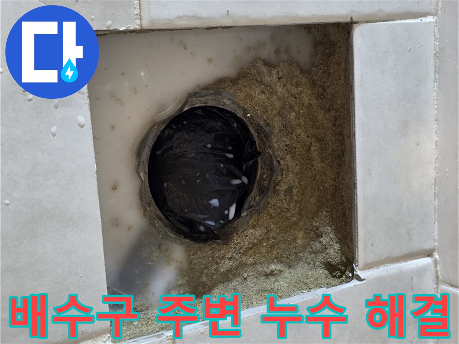 과천 문원동 욕실 배수구 주변 누수 - 물이 고여있는 배수구, 신속하고 정확하게 해결