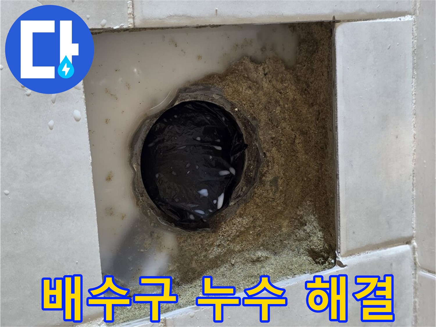 과천 문원동 욕실 배수구 주변 누수 - 젖은 타일 틈새, 숙련된 기술로 완벽 해결