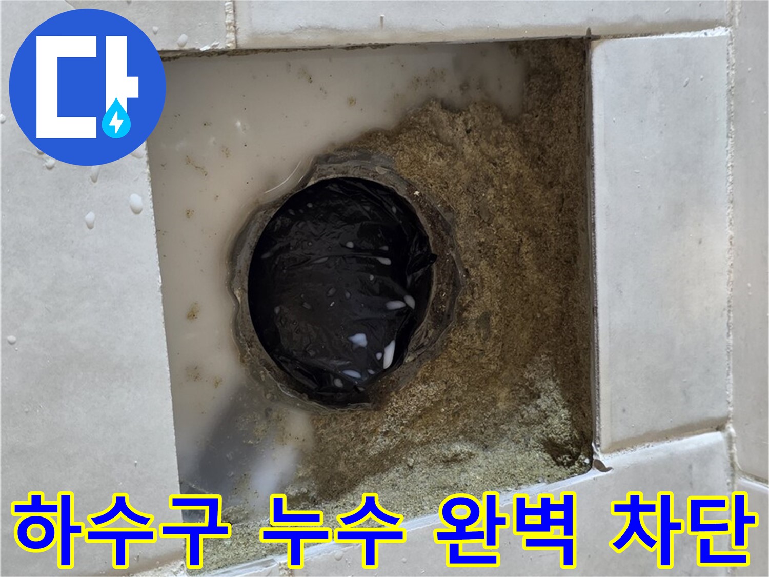 과천 문원동 욕실 하수구 누수 - 젖어있는 하수구 주변, 완벽한 차단으로 속 시원하게 해결