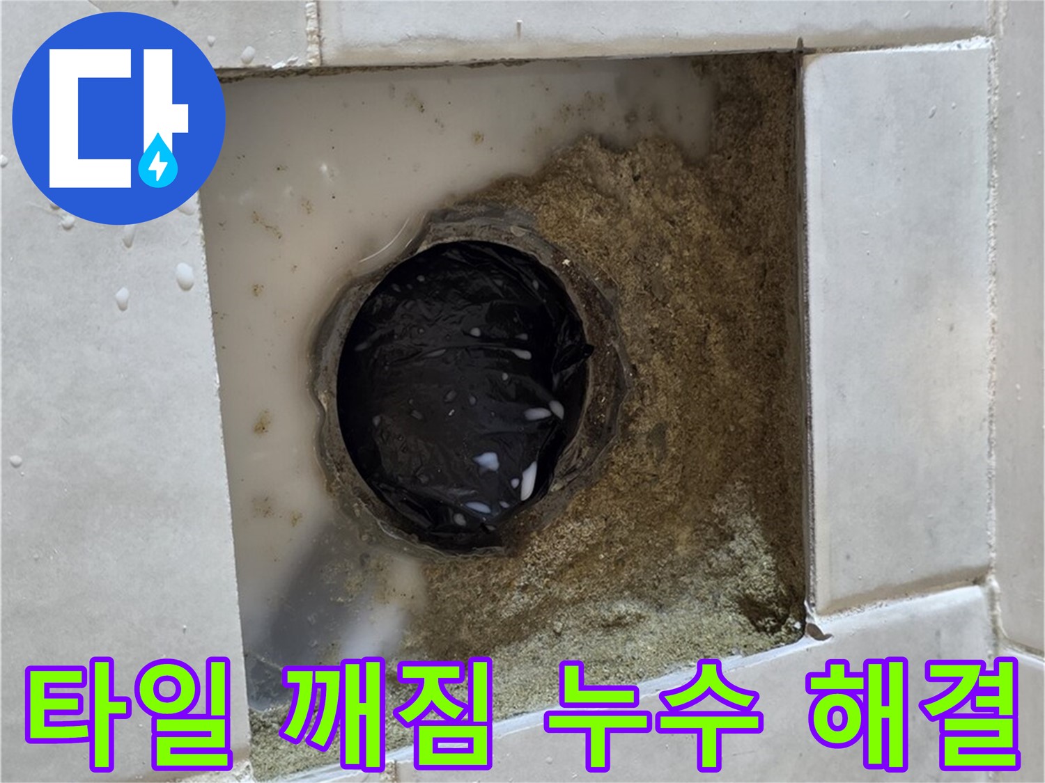 과천 문원동 욕실 하수구 주변 타일 깨짐 누수 - 깨진 타일 틈새의 물기, 꼼꼼한 점검과 완벽한 해결